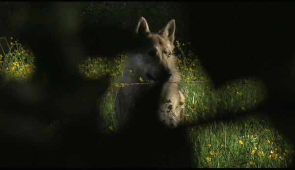 Photographie de l'association Bis'Arts