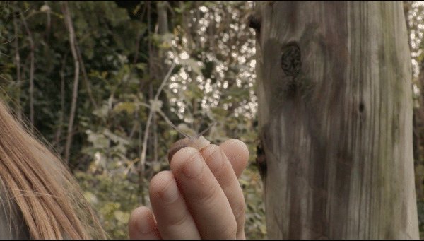 Image extraite d'une production audiovisuelle de Bis'Arts
